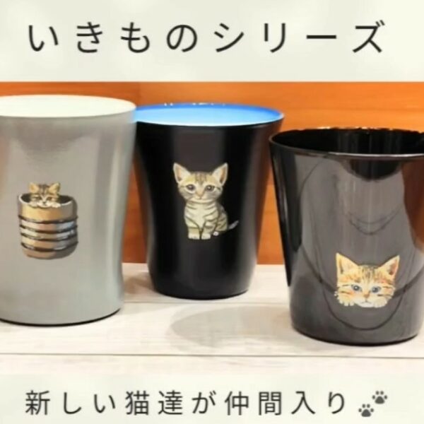 新しい猫達が仲間入りしました！