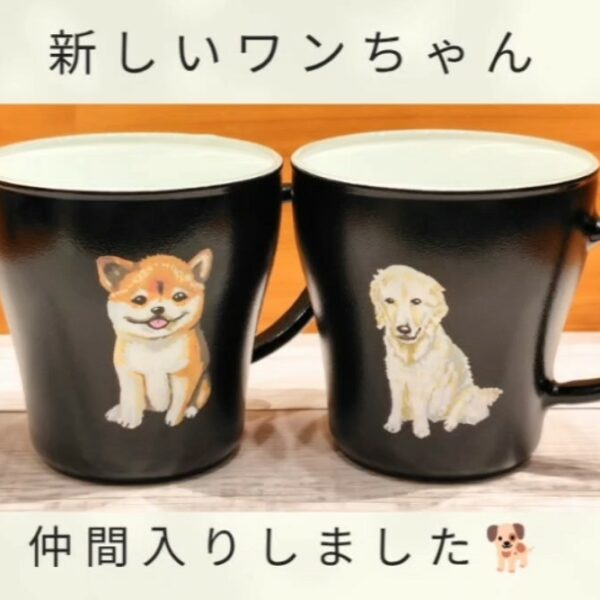 新しいワンちゃんが仲間入り🐕