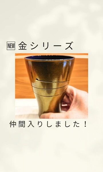 🆕金シリーズが仲間入りしました