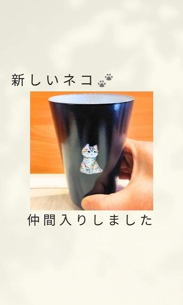 ねこシリーズにカラフルねこちゃんが仲間入り🐾